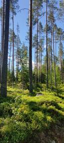 OJANPERÄ 218-401-9-106 1