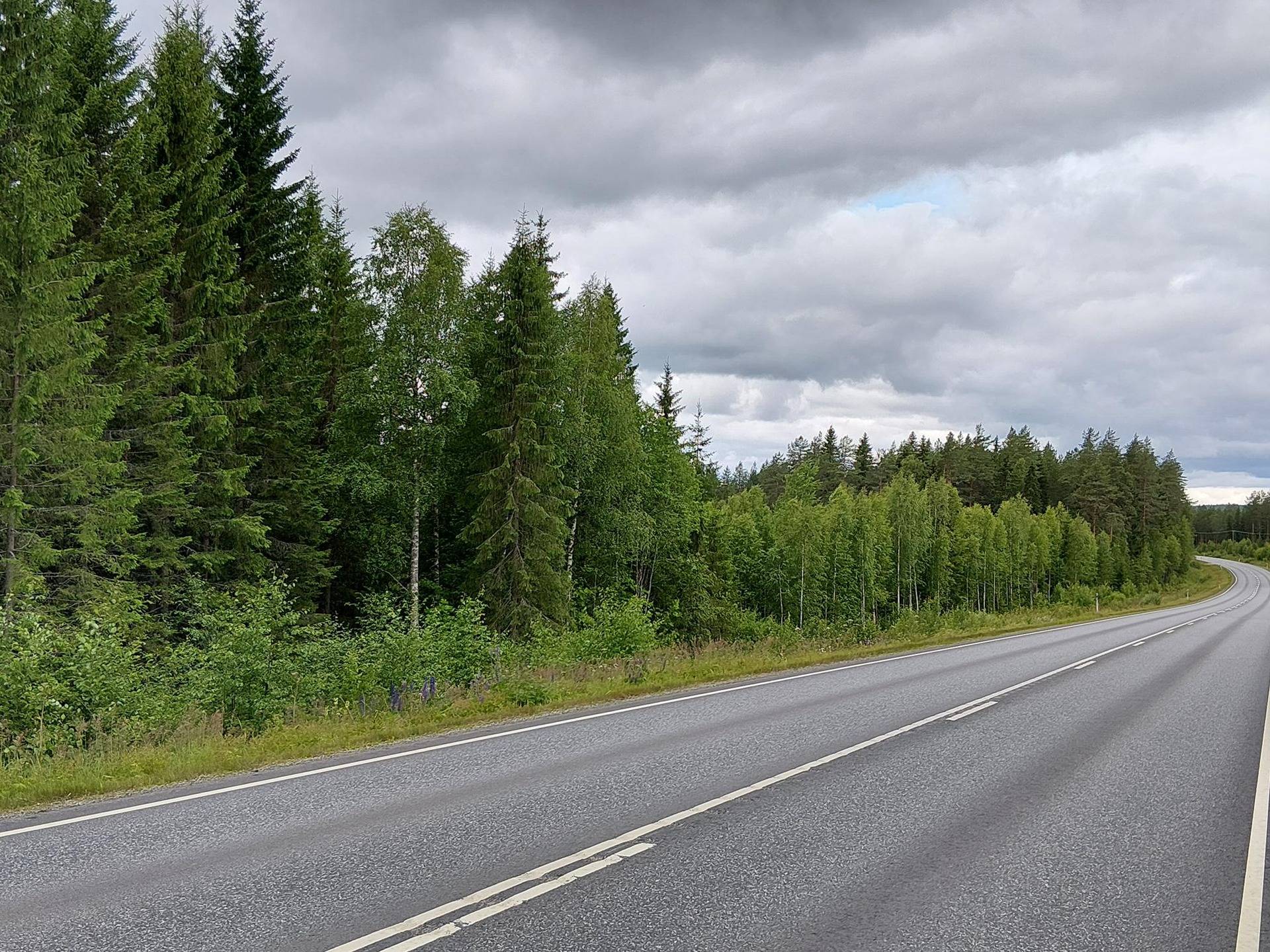 HYNYLÄ 16:85 määräala, RUNNI 1