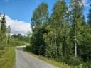 SELKÄHARJU 3:37, Korpinen 1