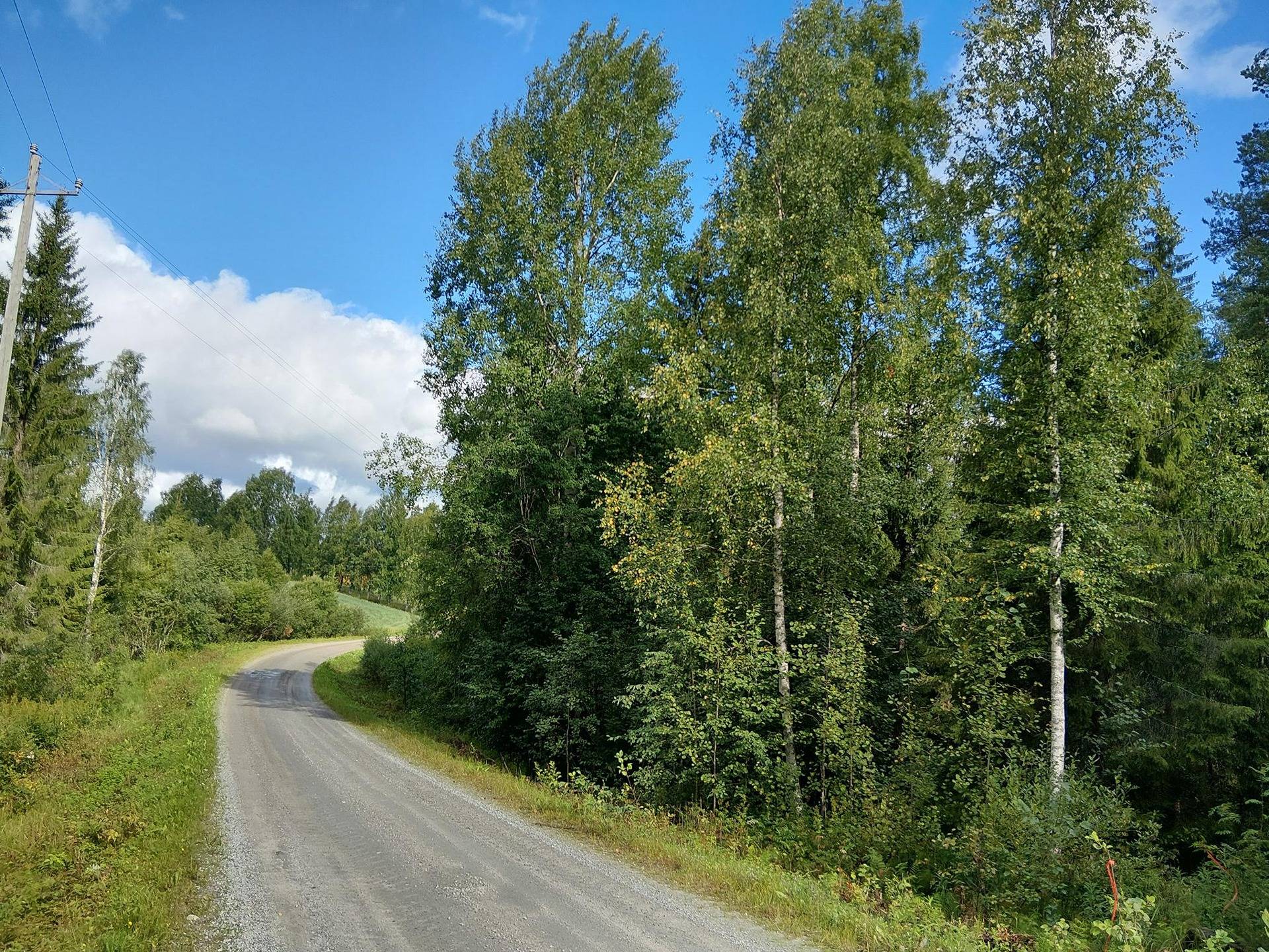 SELKÄHARJU 3:37, Korpinen 1
