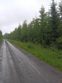 Metsätila, Kaijanlaakso 226-405-14-119 1