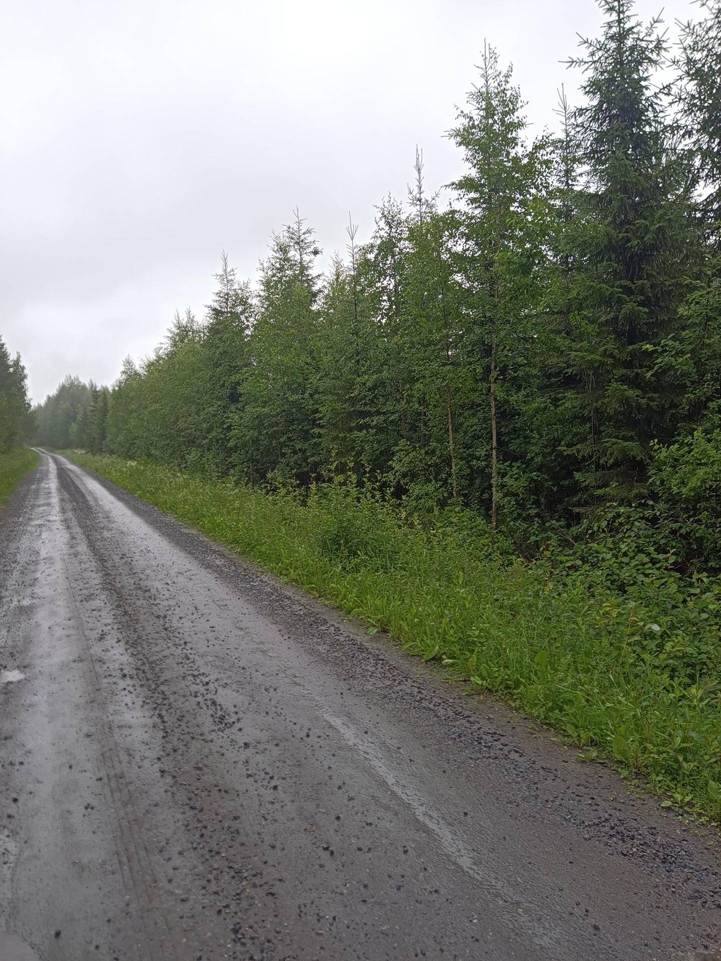 Metsätila, Kaijanlaakso 226-405-14-119 1