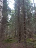 Jurva Mäkelä 301-416-1-132 (määräala) 1