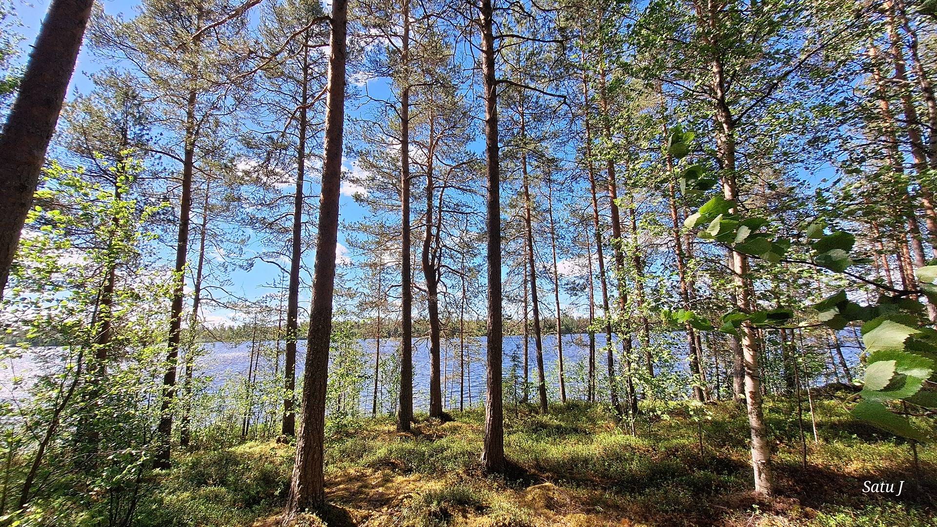 Ritakumpu 320-415-207-0 määräala 2 1