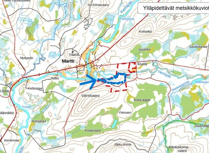 Siikarikonelo määräala 1