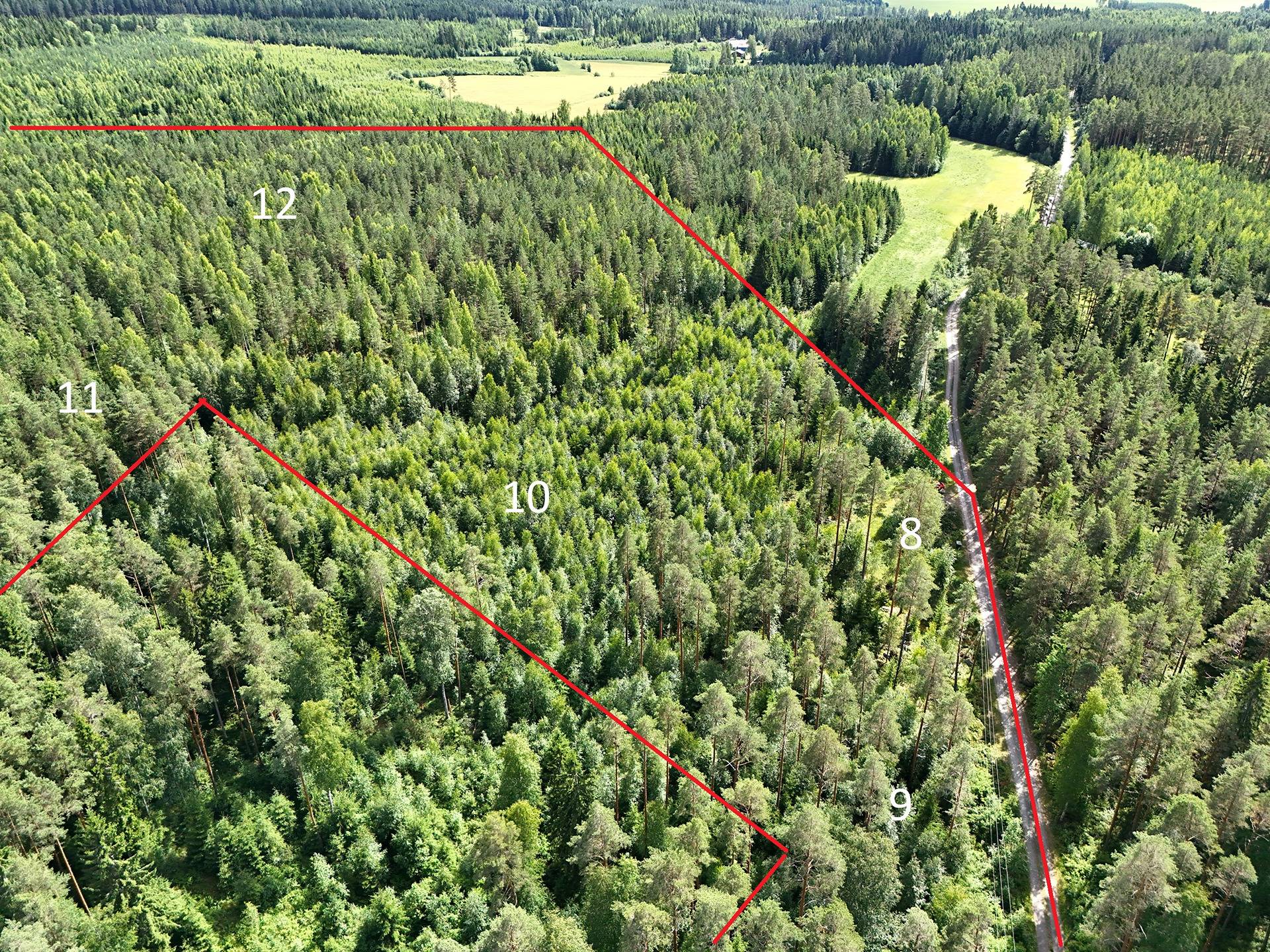 Lehtimäki 4:25 1