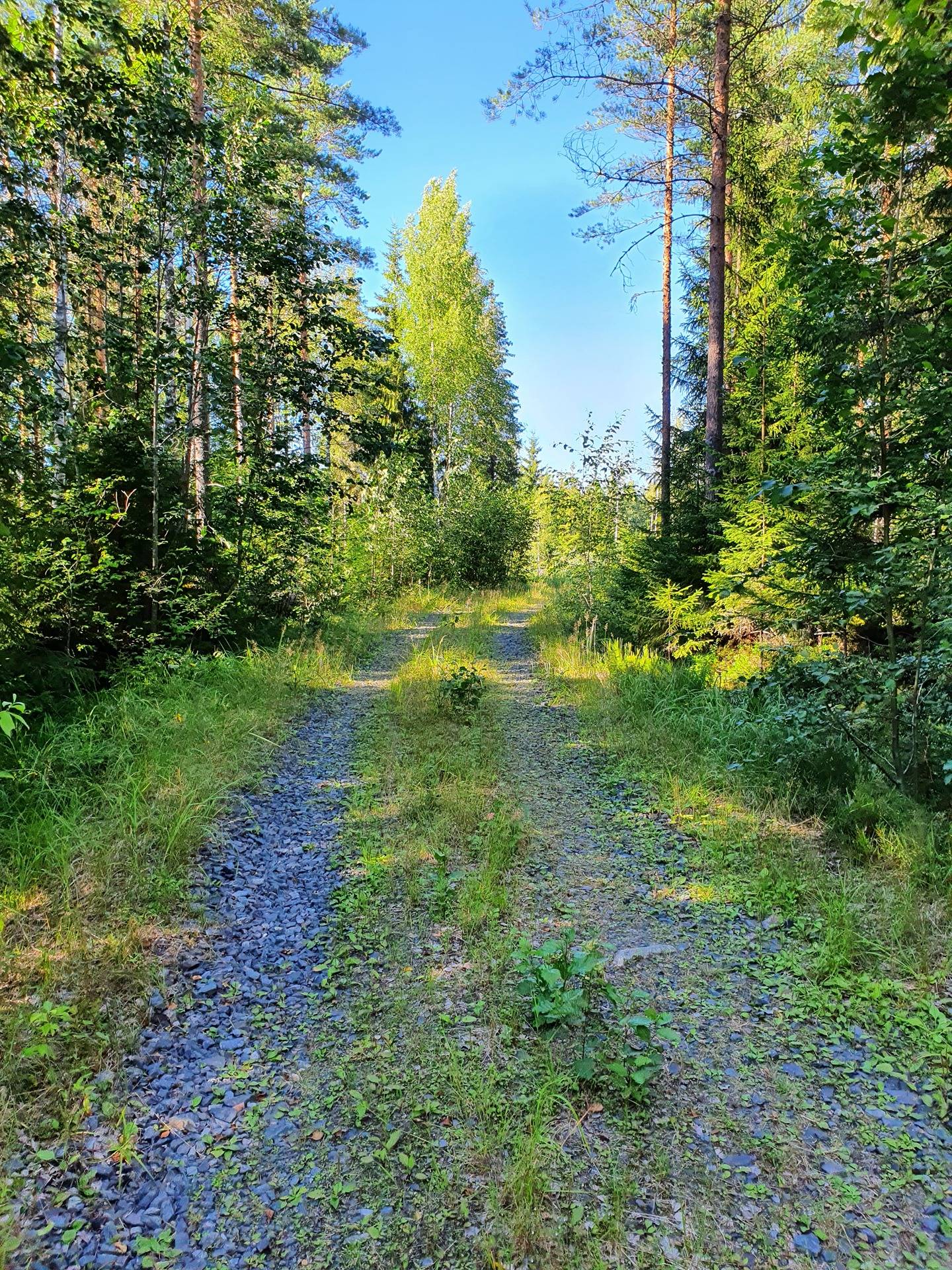 Metsätila Kankaanpäässä 14,4 ha 5