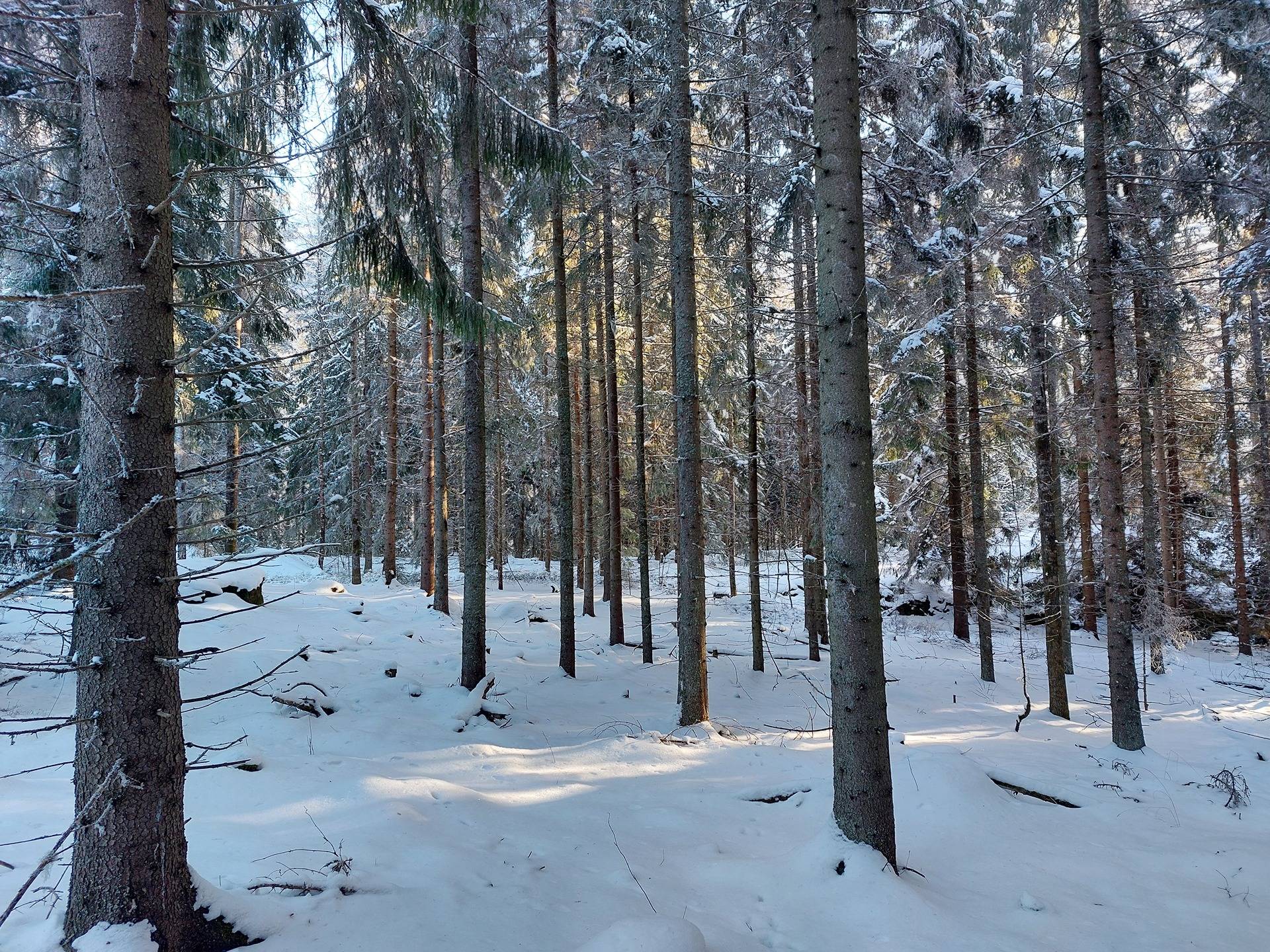 Ylä-Jokela 831-417-2-139 1