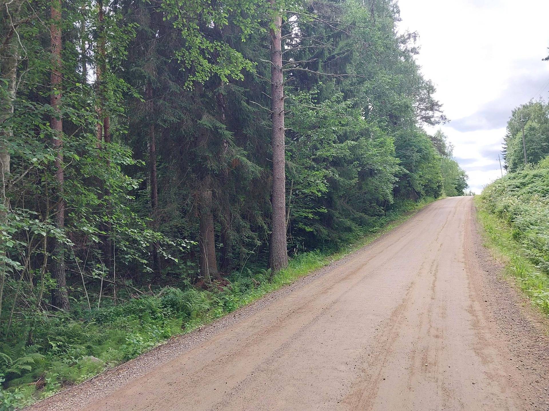 Kumpula 491-435-1-21 ja Myllymäki 491-435-1-34 1