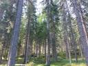 Uimakallio 14:12 1