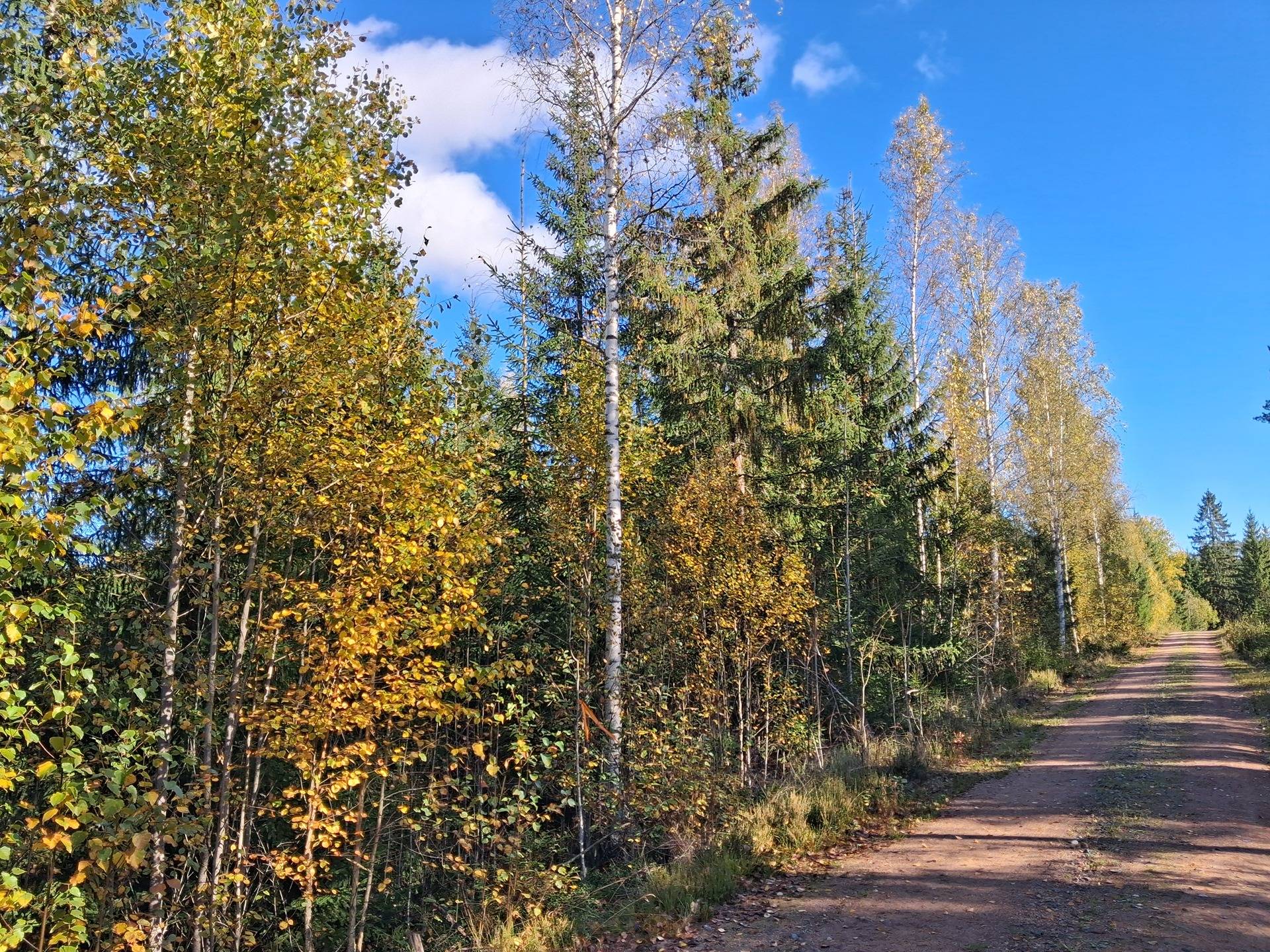 Määräala Pirkkola 560-426-8-48 1