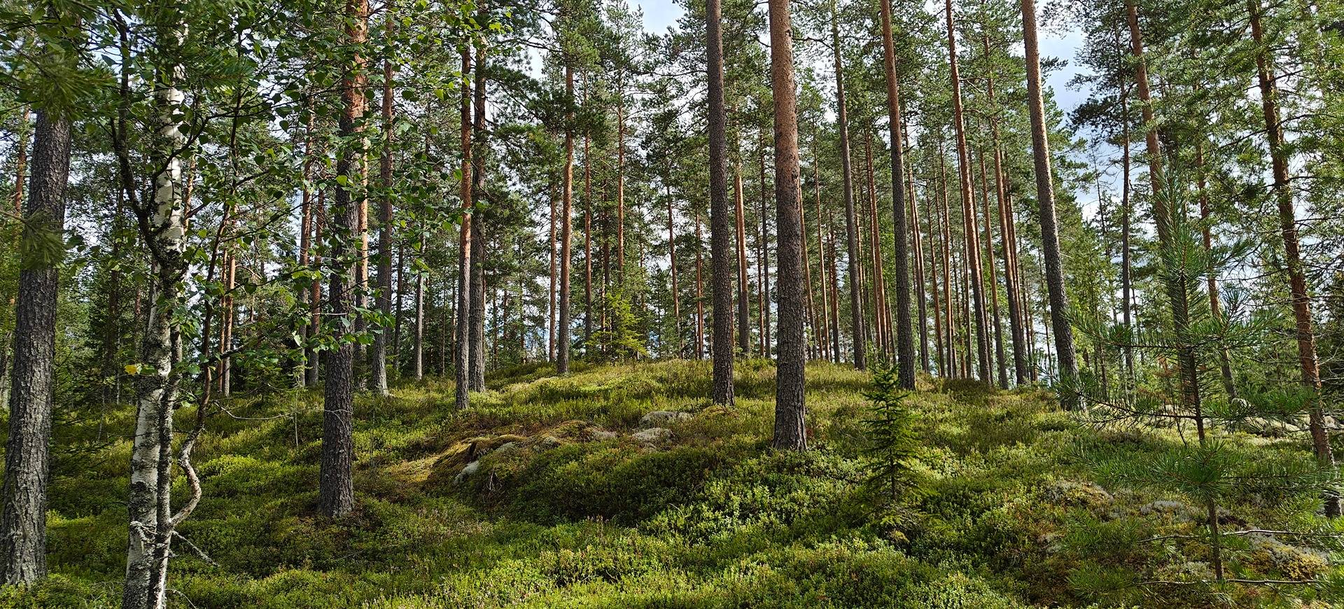 Alavus, LAITURINPERÄ 10-409-23-92 1