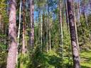 Heinola 700-448-3-15 1