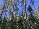 Mäkelä 483-403-15-86 (Huhtaperä) 1