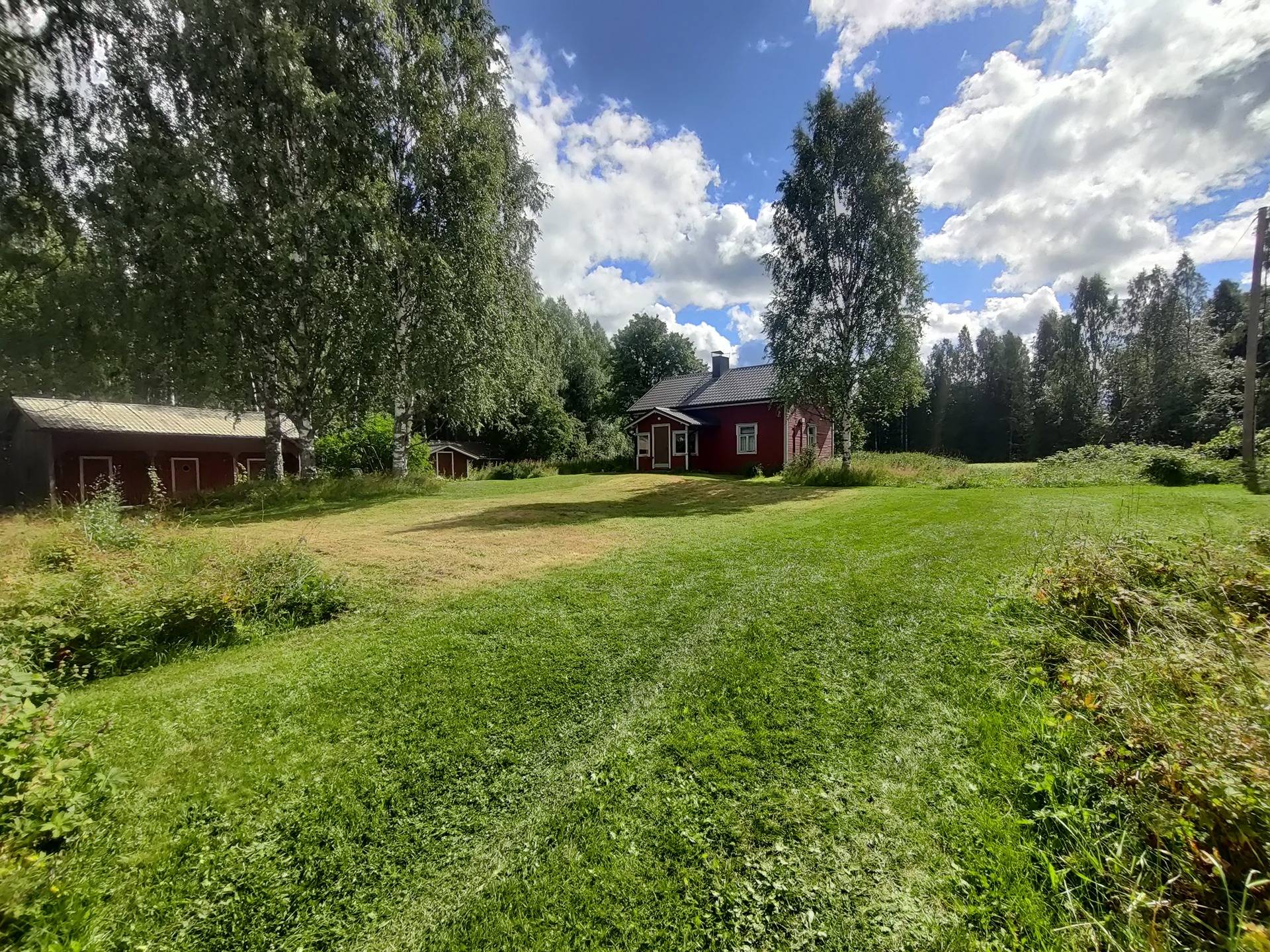 Haapala 765-405-54-1 1