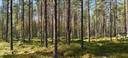 Alavus, Seppälä 10-403-13-140 määräala 1