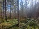 KESTILÄ 72-401-109-10 määräala 1