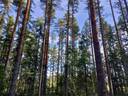 Kalliomaa 483-4047-12-103, Niittylä 483-404-12-108, Poikkoja 483-404-13-63 1