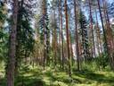 Käkikumpu 689-405-32-0 ja Kallela 689-405-33-1 1