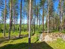 Kiinteistö Metsäranta 2:218 1