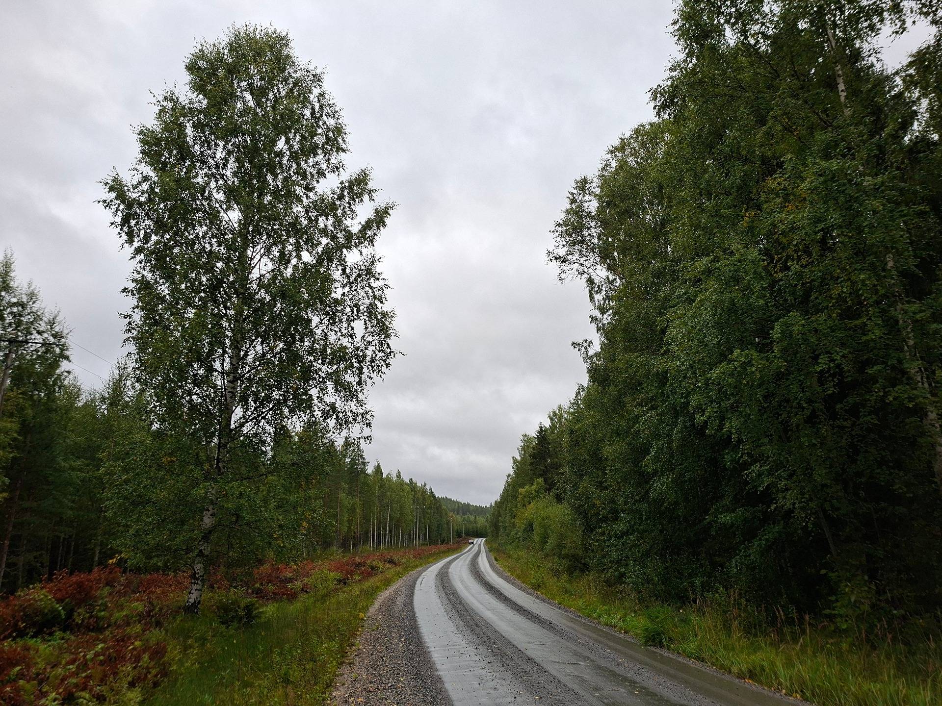 LEHTOLA 541-411-51-53, Kynsiniemi 1