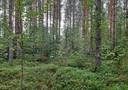 Kuikkaharju 2:33 (90-419-2-33) 1