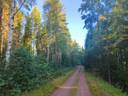 Vuorensivu 75-413-5-163 1