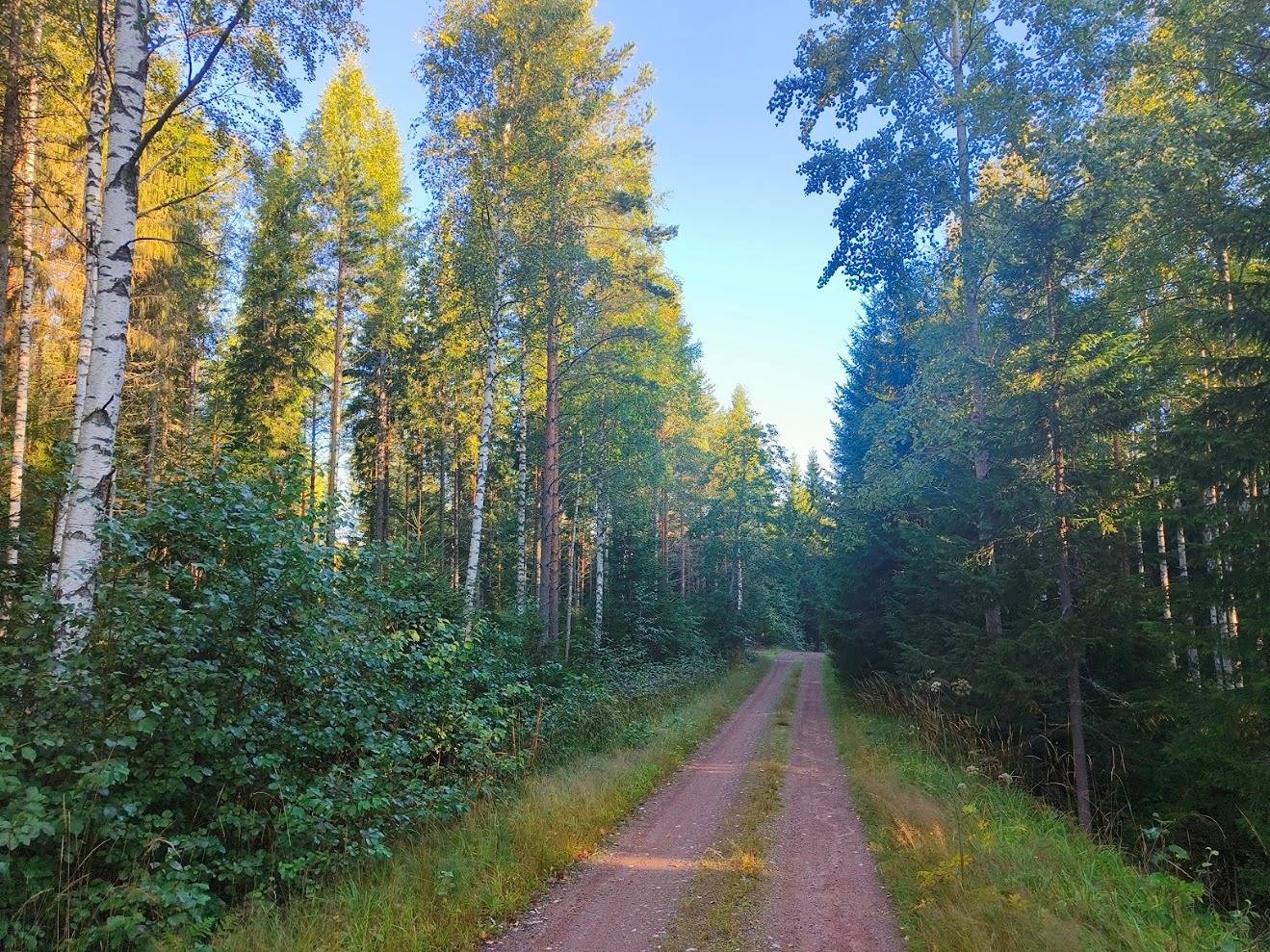 Vuorensivu 75-413-5-163 1