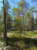 Kackurberget 3:10, Lålax 1