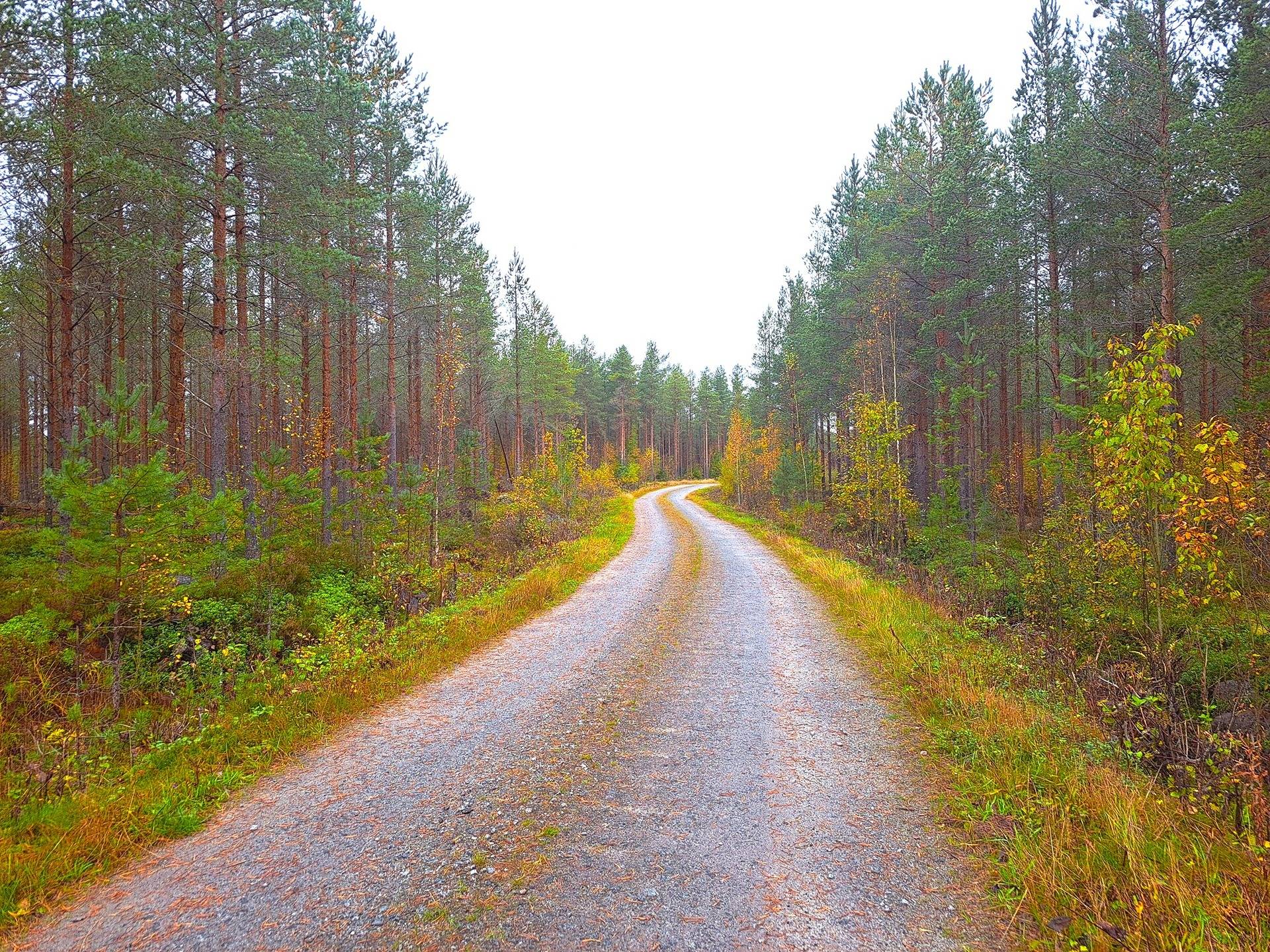 Kauhava Alahärmä KRAPUKYTÖ 2:281 metsätila 50,31 ha 1