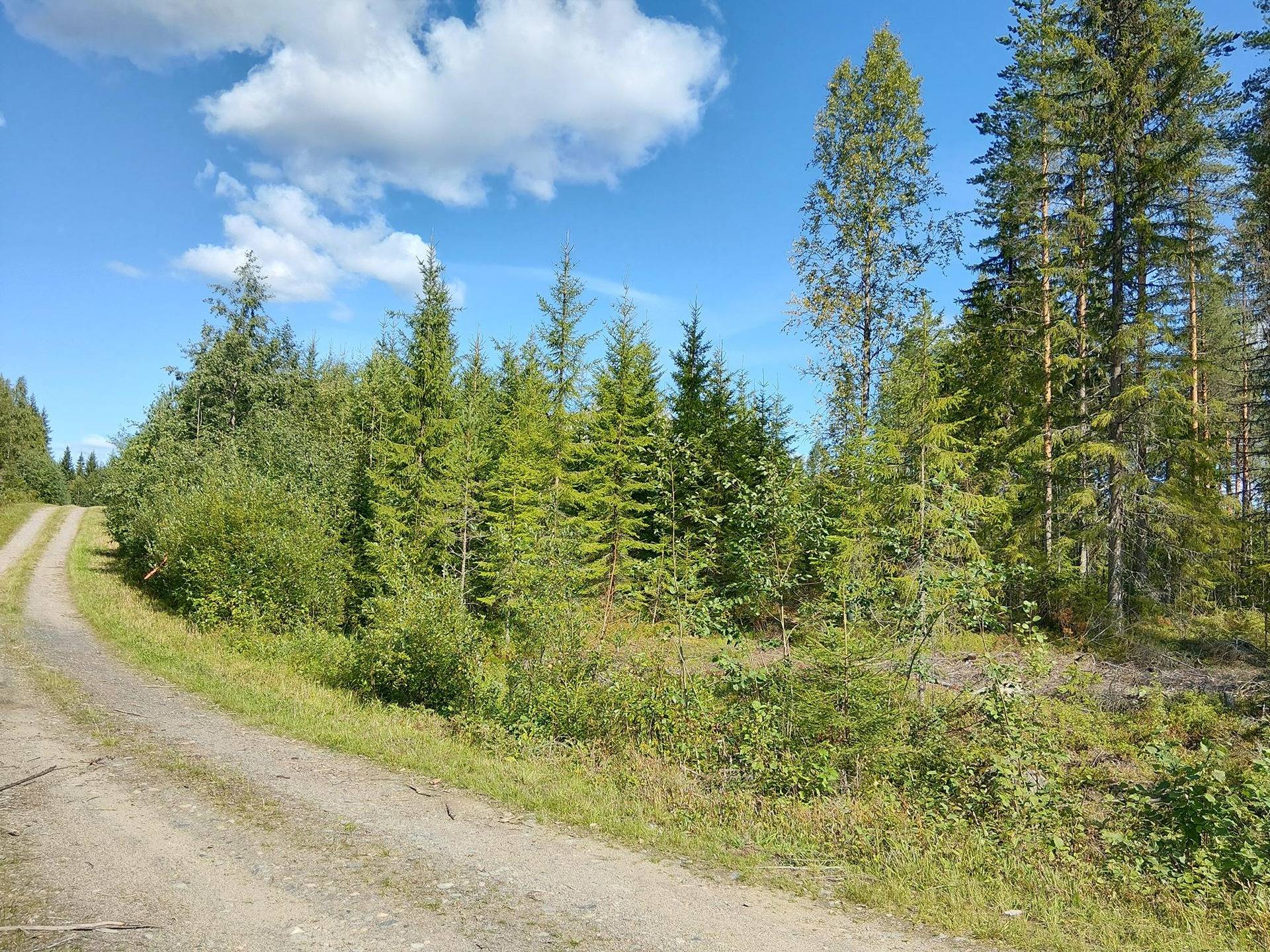 PERÄLÄ 6:46, Lampiinsalmi 1