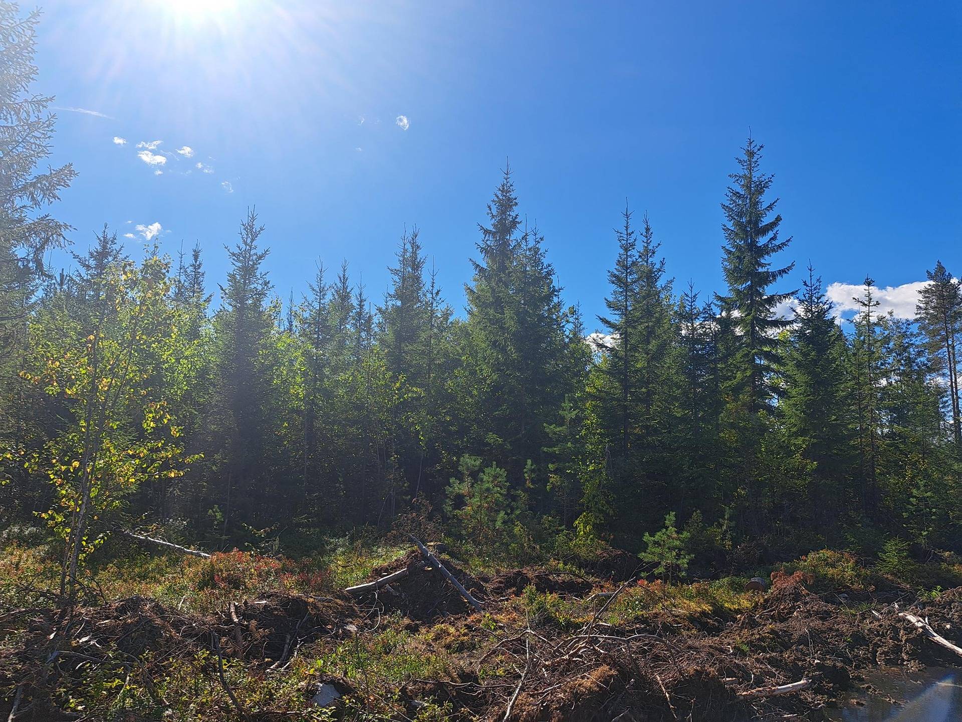 Hyväri 791-401-30-31 1