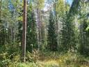 Vesakallio 1:109 määräala 1