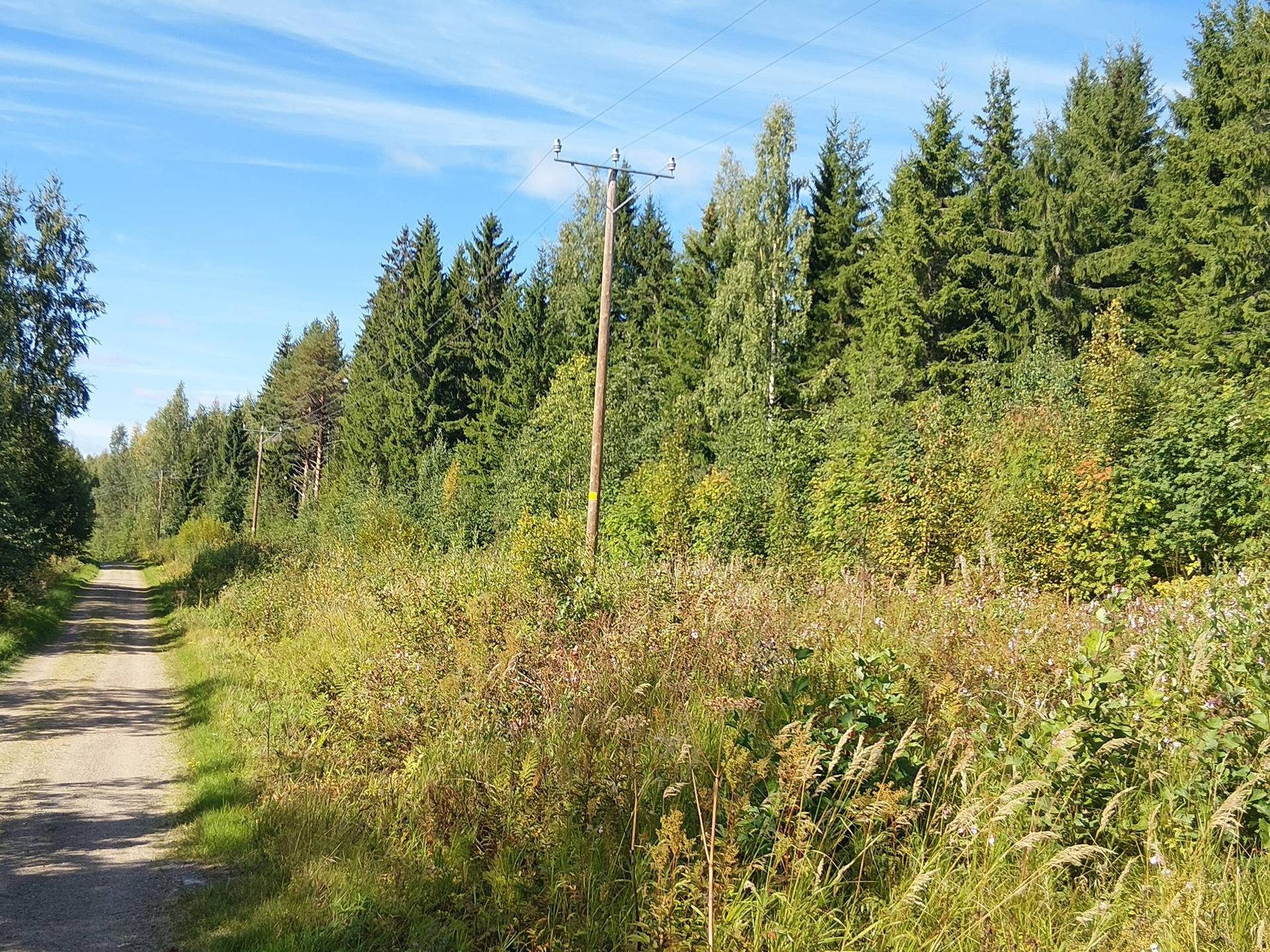KAIKKOLA 17:11, SIVONNIITTY 3:27 ja SIVONPELTO 3:21, Lampaanjärvi 1