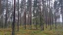Hepomäki 46-406-2-19 ja Ramila 46-406-2-25 1