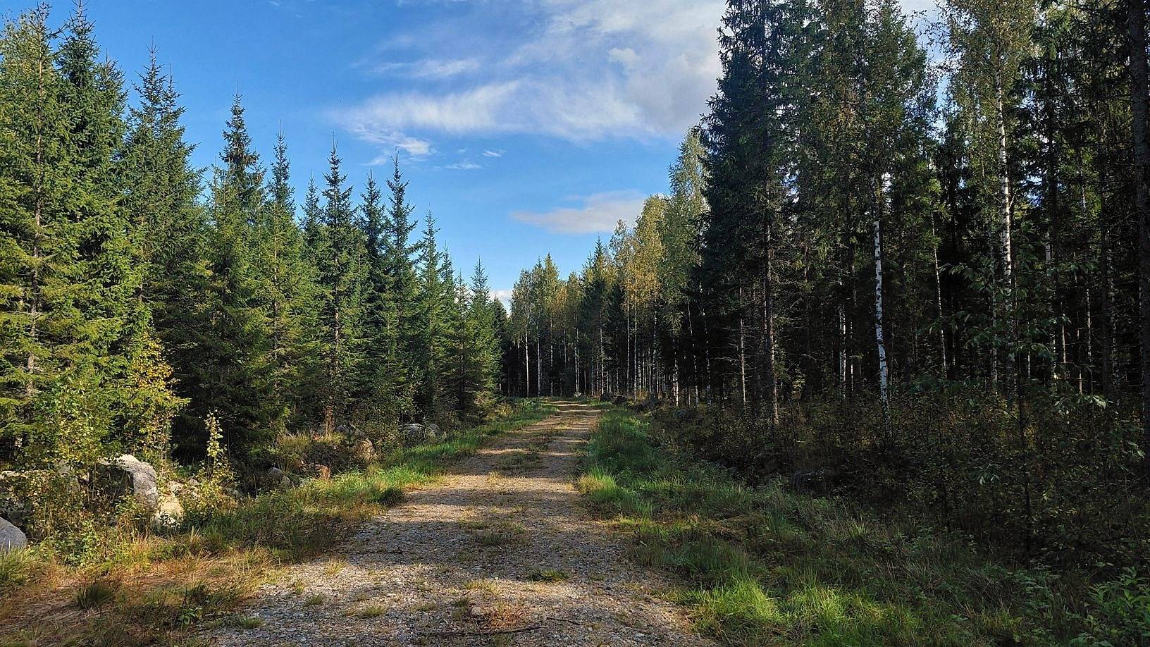 Nissilä määräala (593-420-2-14) 1
