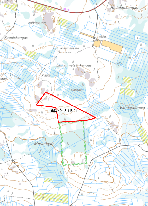 Kuusimetsä 563-404-8-118 1