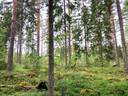 Sirkkala 491-430-17-46,Jaakkola 491-430-17-47, Kuusela 491-430-17-48 1
