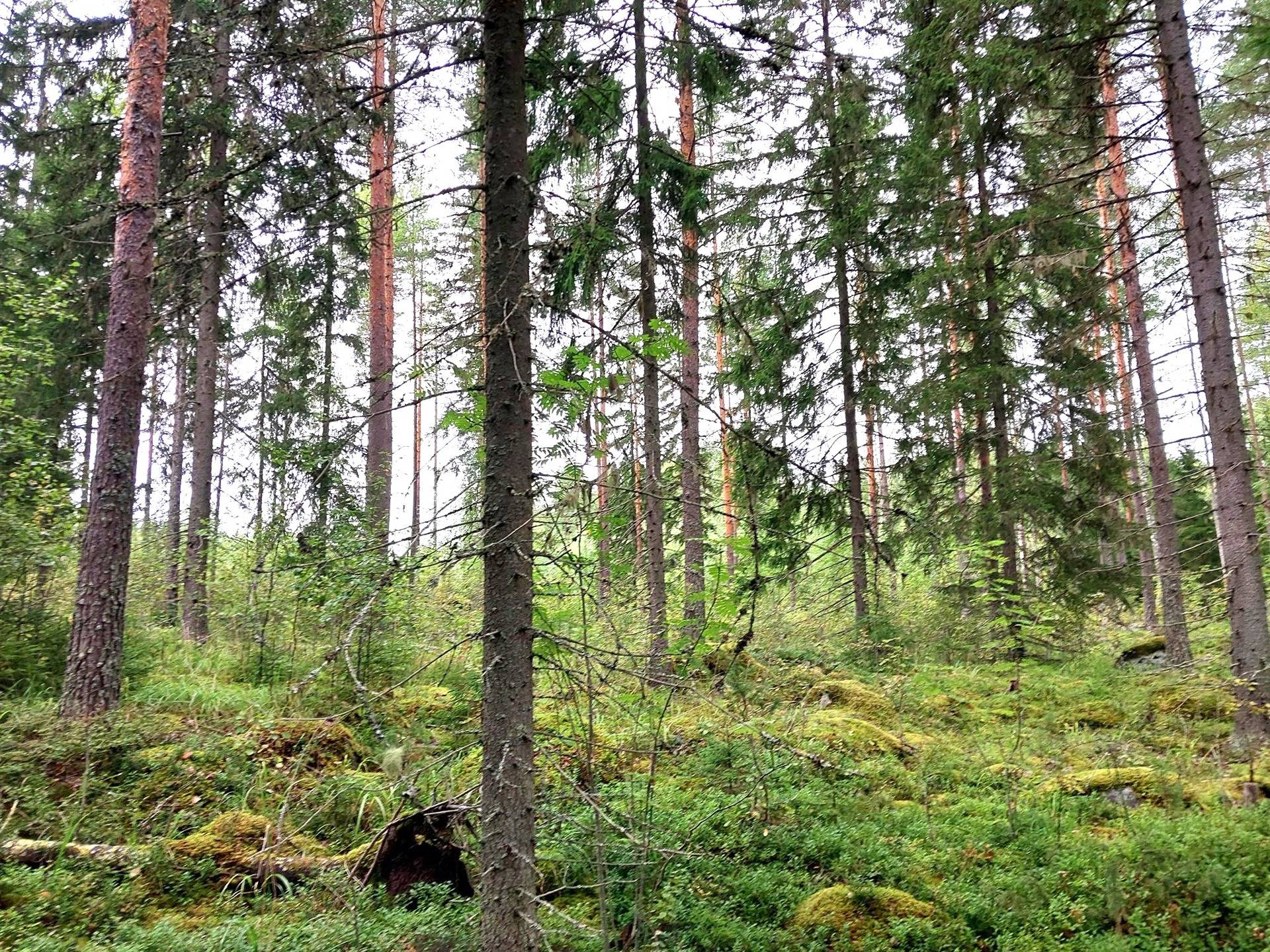 Sirkkala 491-430-17-46,Jaakkola 491-430-17-47, Kuusela 491-430-17-48 1