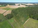 Metsätila Ilkkala 1:398, Somero, Hirsjärvi, 9,43 ha 1