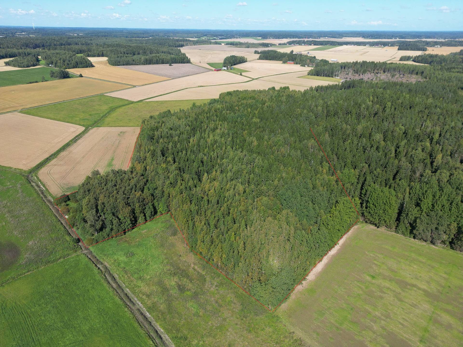 Metsätila Ilkkala 1:398, Somero, Hirsjärvi, 9,43 ha 1