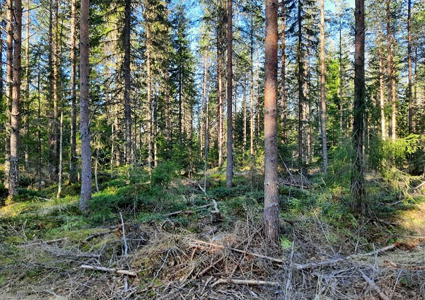 Varrashonka 20:1 (778-406-20-1) määräala 1