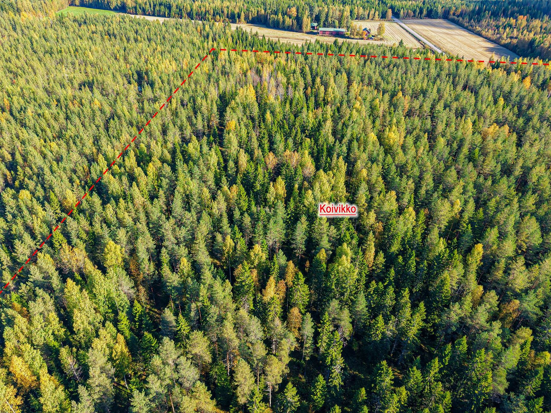 Isokyrö, Orismala, Koivikko 152-409-18-1, määräala 1