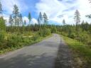 Metsätila Palokangas 5:30 1