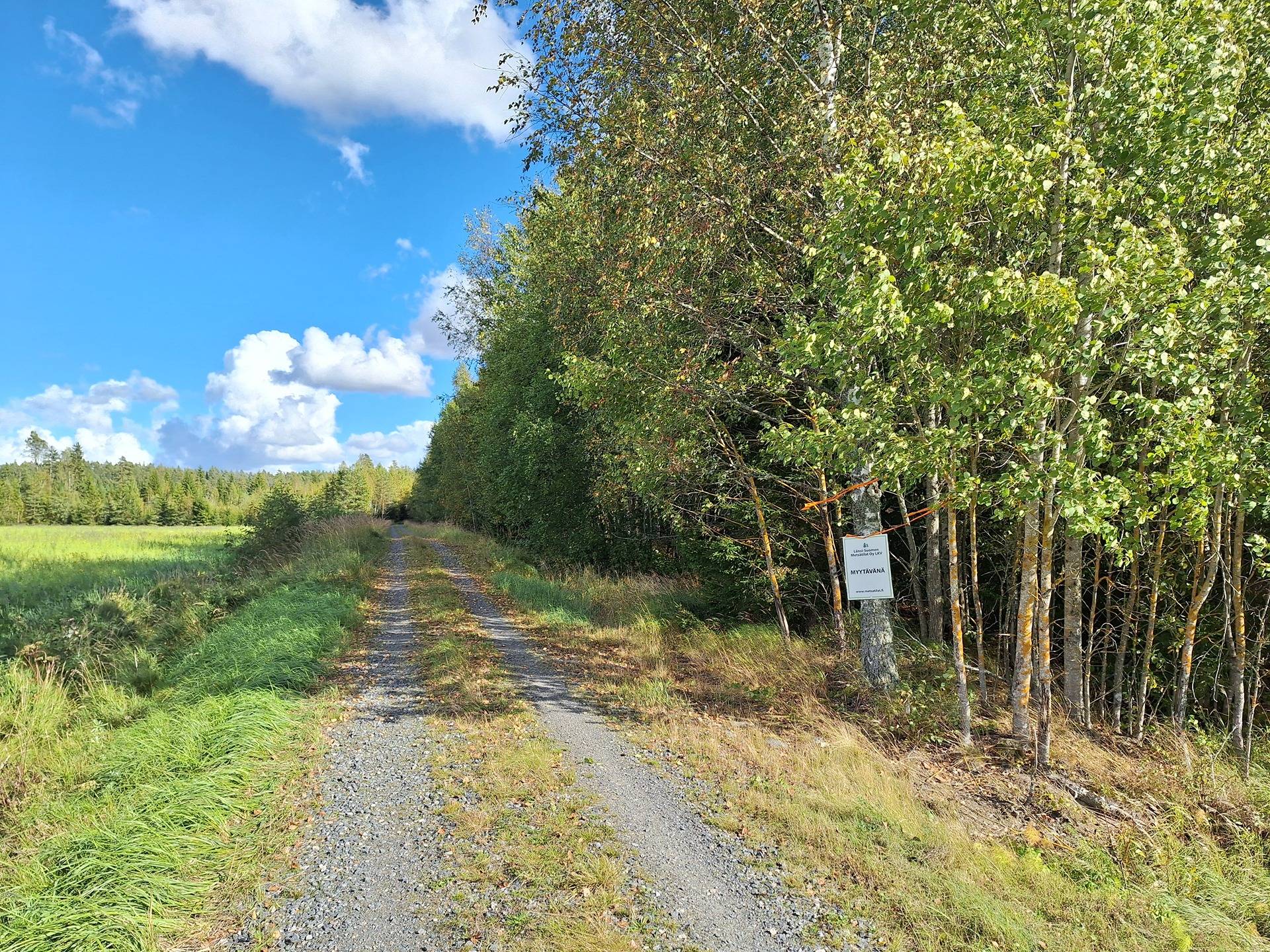 Lieto, Tarvasjoki Seppälä, Metsätila Routamaa 2-62 1