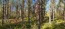 Alavus, Lamminmäki 10-401-43-9 1
