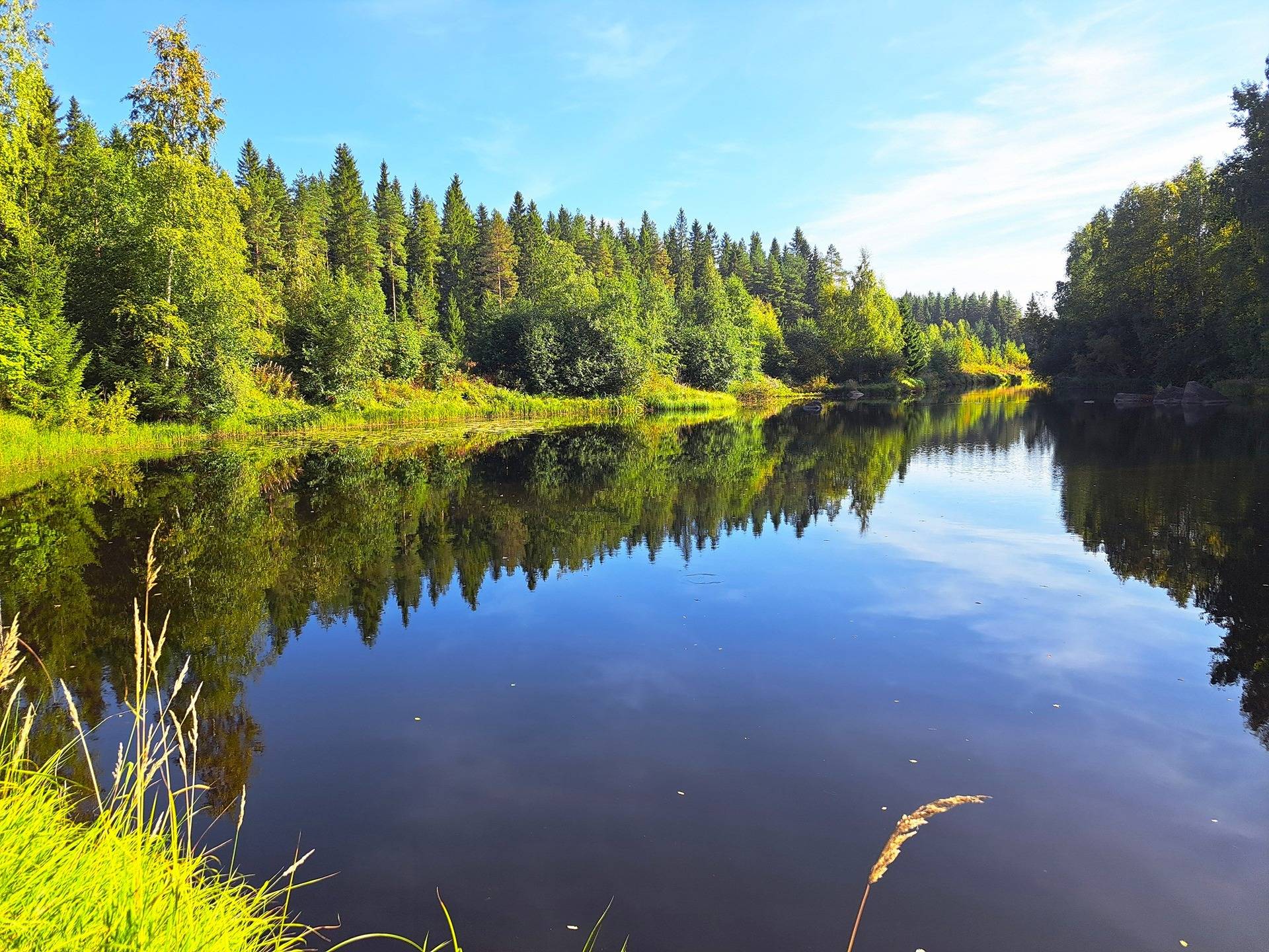 Veteli Sillanpää PUROLA 5:150 metsätonttikiinteistö 4,936 ha 1