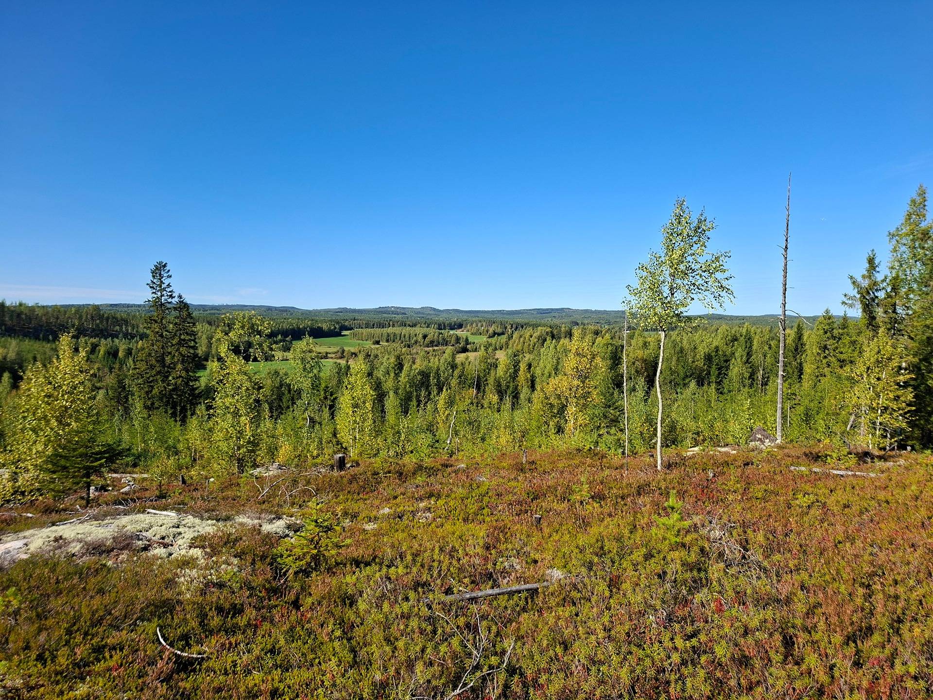 LAMMINHARJU I 422-430-70-0, LAMMINRINNE 422-430-70-1, PIENI-SULKAINEN 541-402-16-12, PURONSUU 541-402-16-10, PÄIVÖLÄ I 422-429-18-27, PÄIVÖLÄ II 422-430-7-10, RINTEELÄ I 422-429-18-28, RINTEELÄ II 422-430-71-0, Sulkainen 1