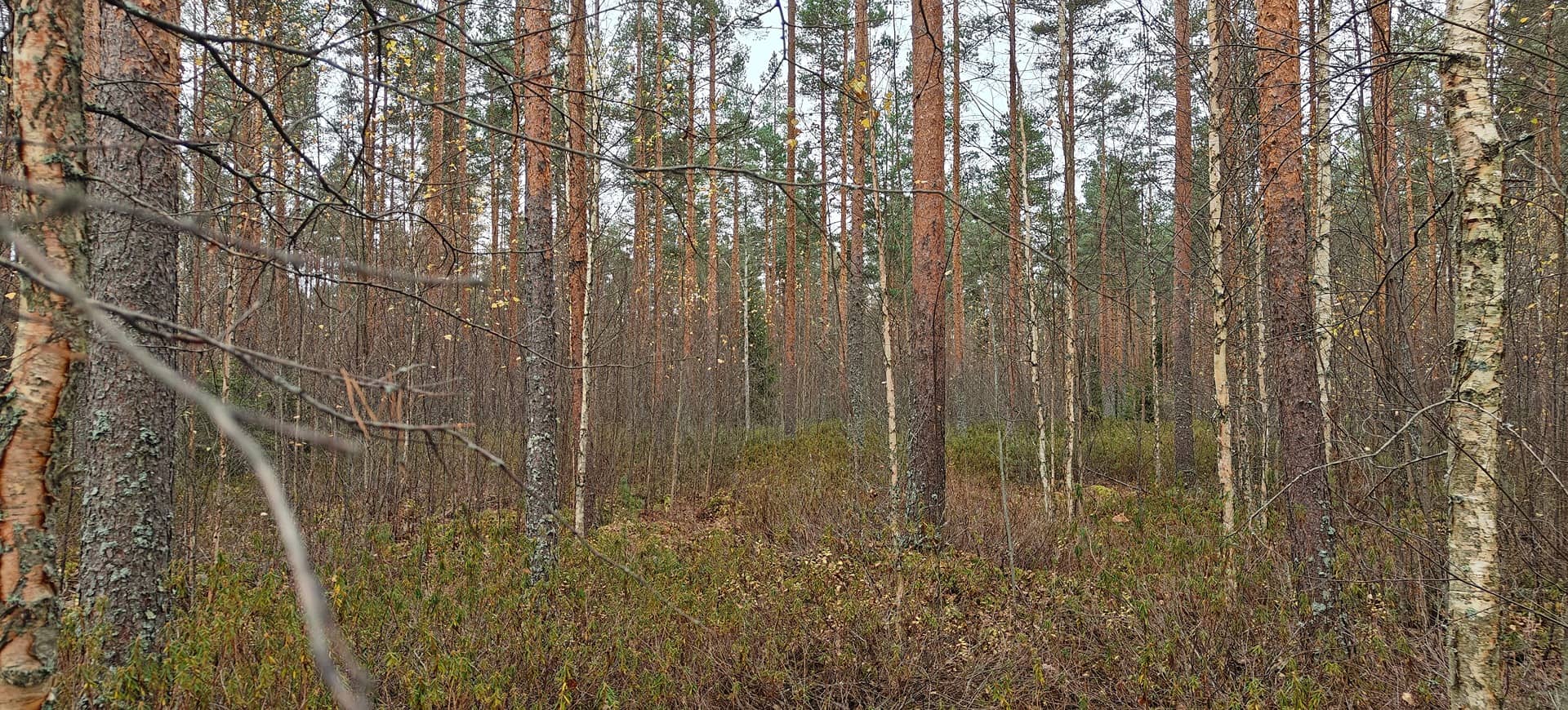 Seinäjoki, LATOMAA 743-416-9-40 1