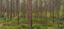 Ähtäri, PÄIVÄRANTA 989-401-4-59 1